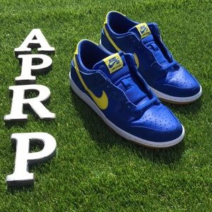 Nike SB Dunk Low Pro Shoes